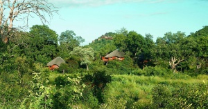 tapis_rouge_voyages-luxe-sur-mesure_afrique_du_sud_ulusaba_safari_lodge