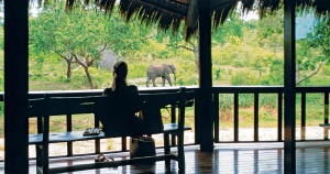 tapis_rouge_voyages-luxe-sur-mesure_afrique_du_sud_ulusaba_safari_lodge_2